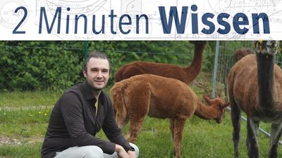 Zur Seite: 2 Minuten Wissen – Tierortung